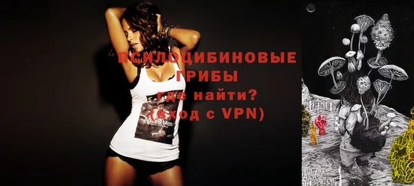 ALPHA-PVP Осинники