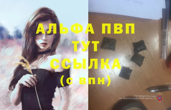 ALPHA-PVP Осинники